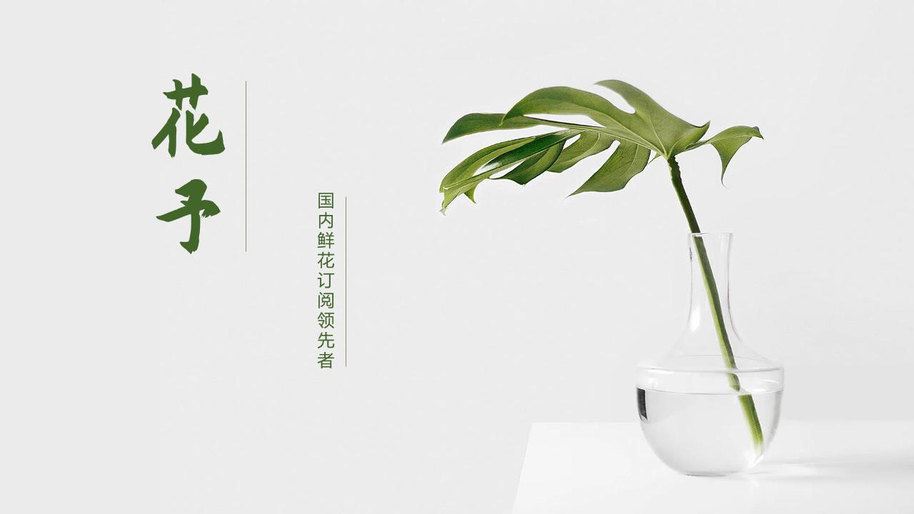 互联网鲜花电商日常配送礼品商业计划书-undefined