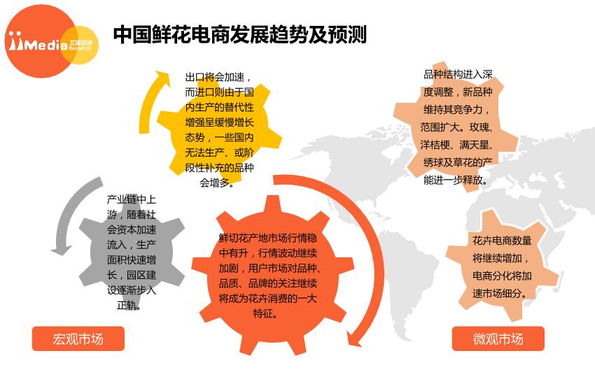 2017上半年中国鲜花电商市场研究报告-undefined