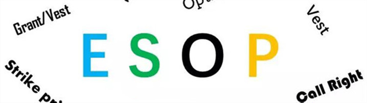 初创企业的ESOP